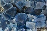 Blue Cubic Fluorite on Quartz - China #111913-1
